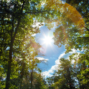 免费国产作爱视频网站
